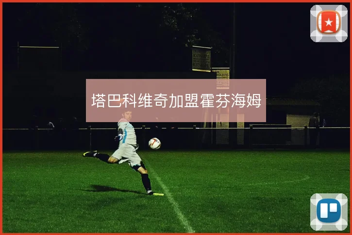 塔巴科维奇加盟霍芬海姆