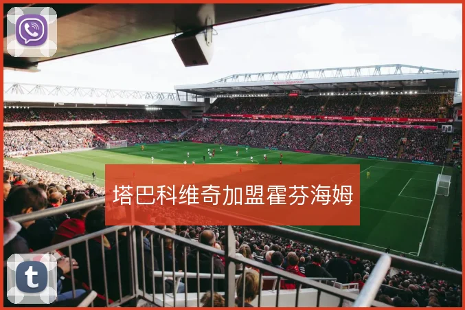 塔巴科维奇加盟霍芬海姆