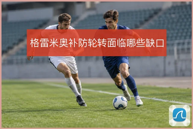 格雷米奥补防轮转面临哪些缺口