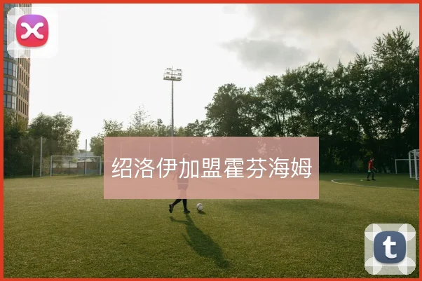 绍洛伊加盟霍芬海姆